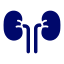 kidneys (1)